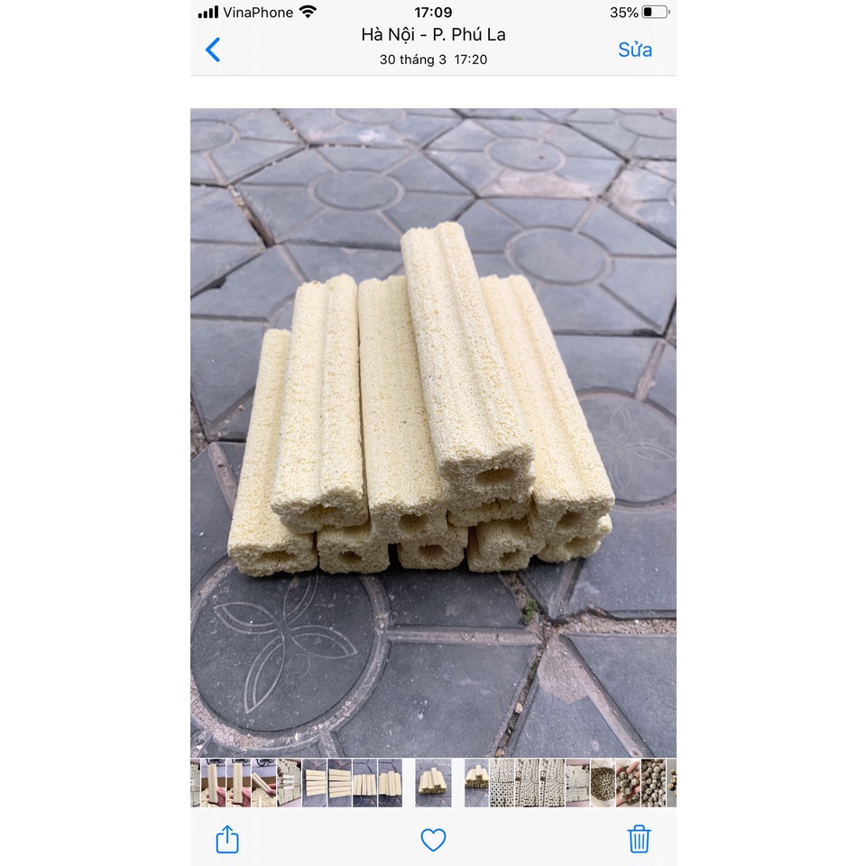 Sứ thanh hoa mai lọc nước hồ koi combo 20-30-40-50thanh.