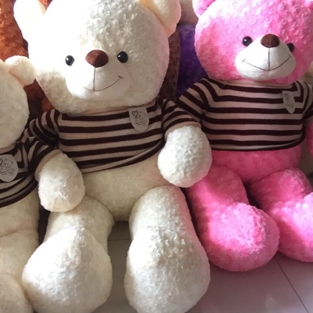 Gấu bông teddy trắng kem siêu mịn khổ 1m6