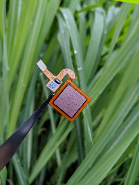 Vân tay Redmi 5 plus