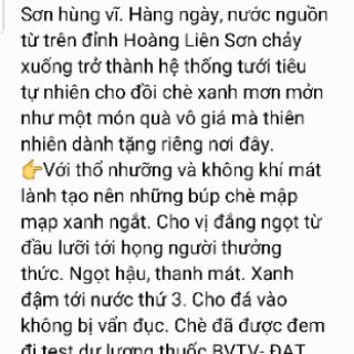 Chè Shan Tuyết Lai Châu