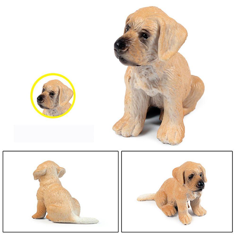 Đồ Chơi Mô Hình Chú Chó Dùng Dạy Học Sớm|Áo Thun In Hình Redford Hound Cá Tính Hợp Thời Trang