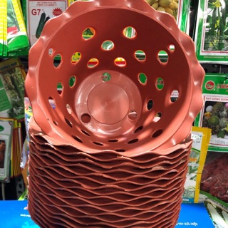 Combo-20 chậu nhựa giá đất nung miệng viền hoa phi 21,5