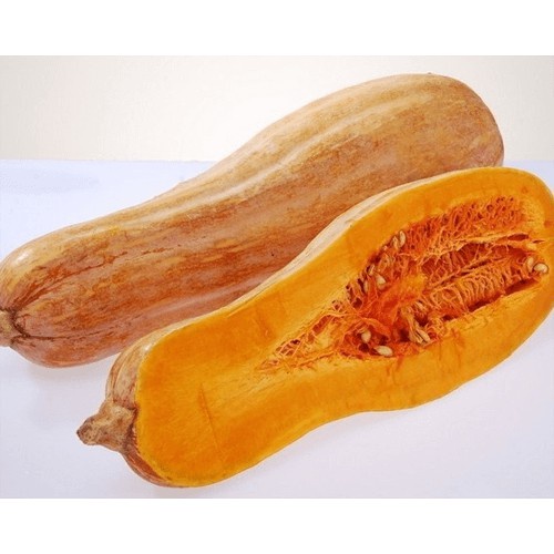 Hạt Giống Bí Đỏ Trái Dài Nga  - Năng Suất, Dinh Dưỡng Cao - MUA 3 TẶNG 1 CÙNG LOẠI