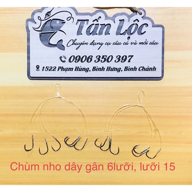 CHÙM NHO CÂU CÁ BUỘC SẴN