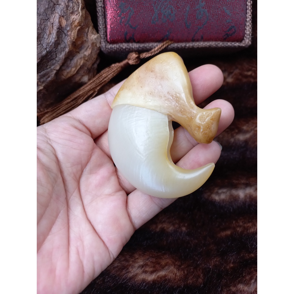 Móng vuốt cọp nhân tạo 7cm