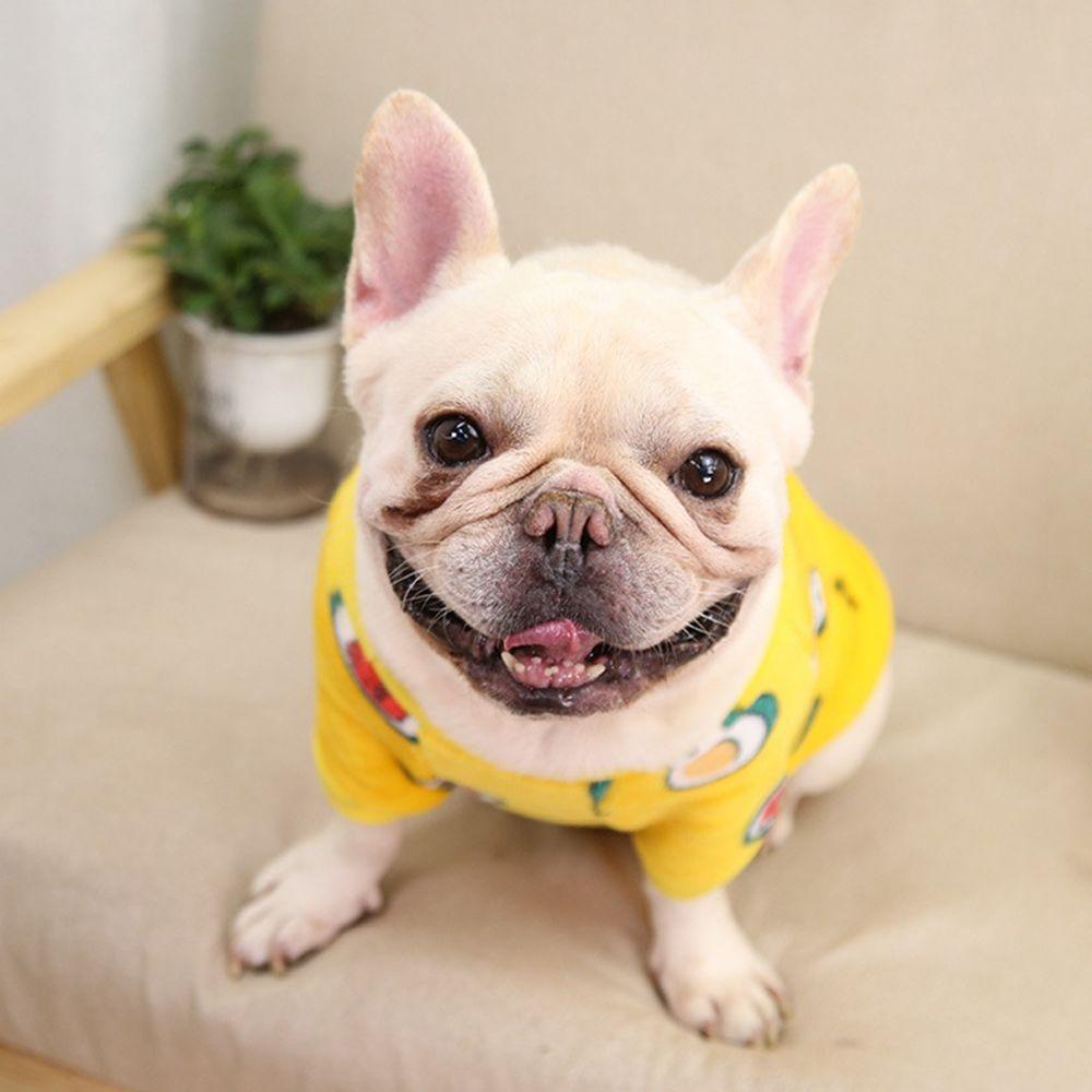 Elsworth Áo Khoác Sweater Có Mũ Trùm Vải Lông Mềm Mại Ấm Áp Hình Chó Bull Pháp Dễ Thương Cho Thú Cưng