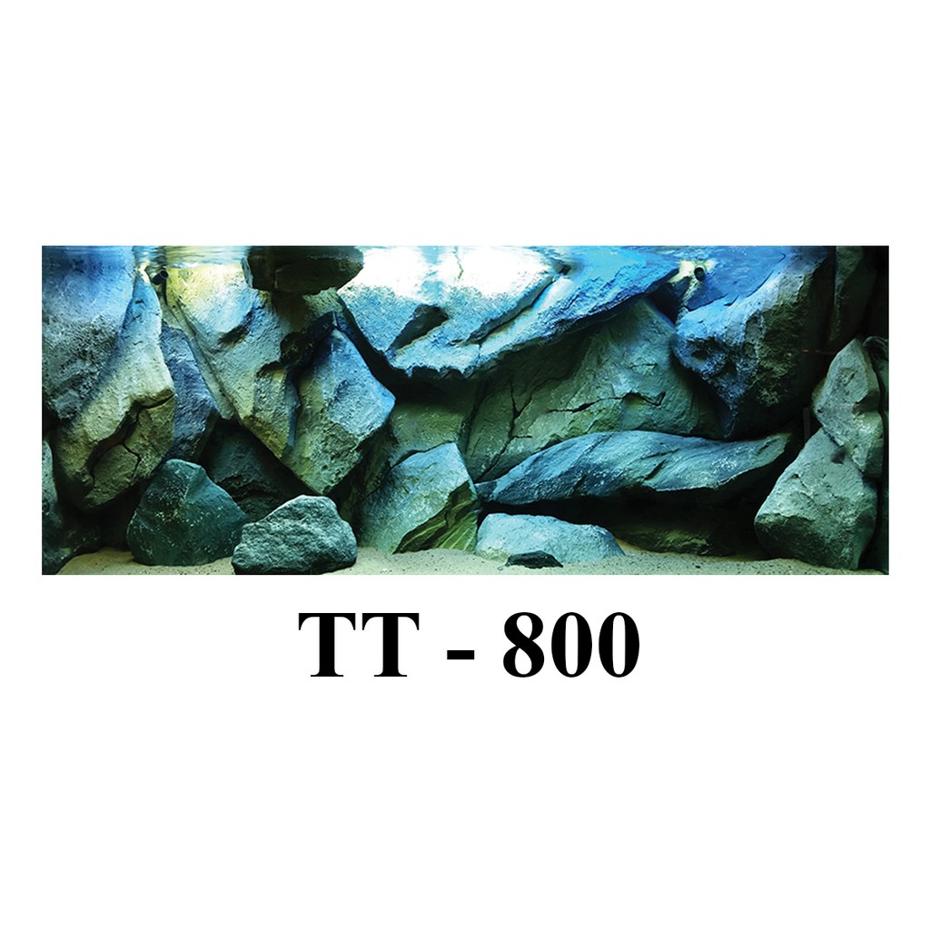 Tranh 3D bể cá cảnh