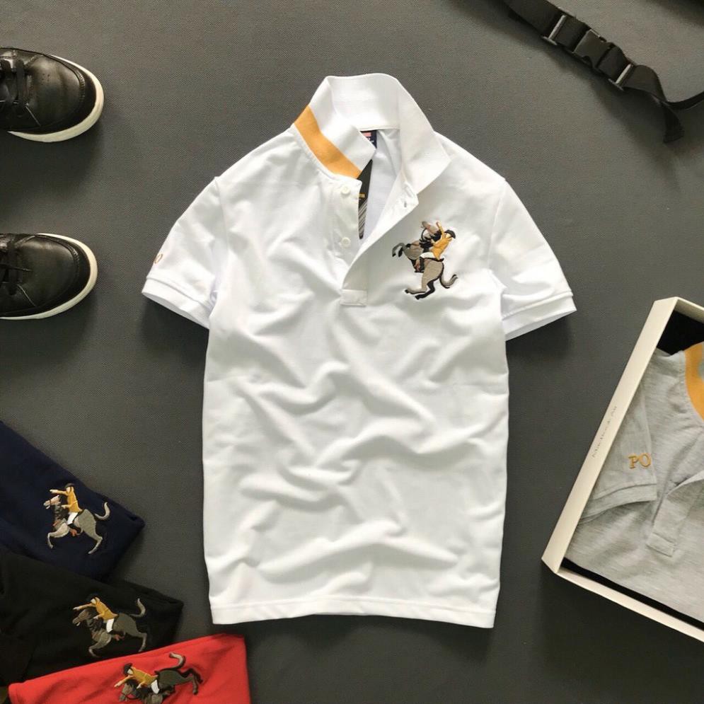 Áo thun nam có cổ thêu logo con ngựa cao cấp KENSTORE89 ATV005 ❕ 🌟