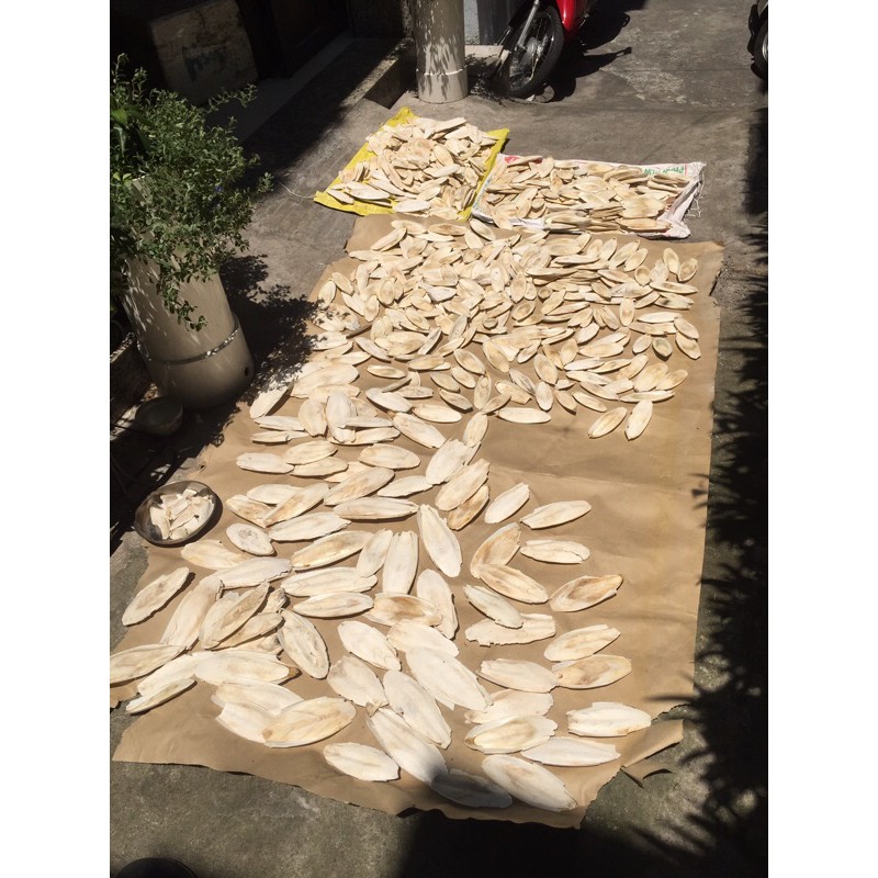 Nan mực dưới 10cm 200g
