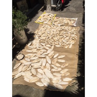 Nan mực 10-12cm 39k/200g