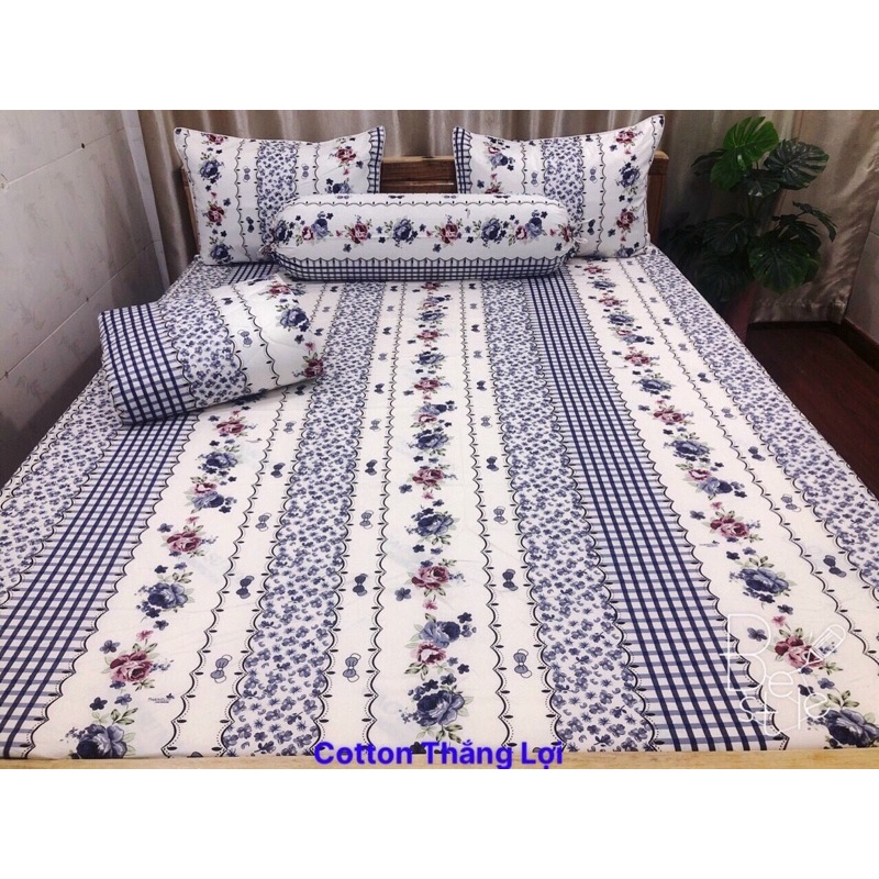 SET 5 MÓN {Size Drap 1m6} VẢI COTTON THẮNG LỢI 100%