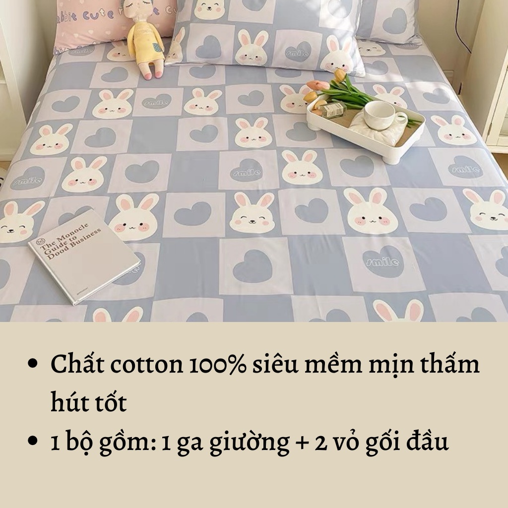 Bộ ga giường cotton 100%, ga gối cotton thun lạnh thoáng mát thấm hút mồ hôi tốt miễn phí bo chun - Bông.Decor | BigBuy360 - bigbuy360.vn