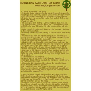 VẠN THỌ PHÁP VÀNG CHANH RĐ 837 (1gr)