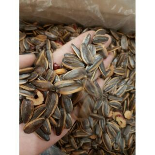 1 kg Hướng dương tẩm vị táo đỏ sấy khô.