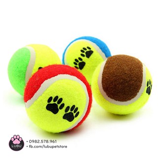 Bóng tennis