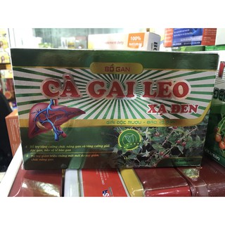 BỔ GAN CÀ GAI LEO