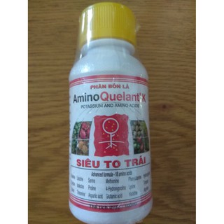 Phân bón lá SIÊU TO TRÁI AminoQuelant K - chai 100 ml