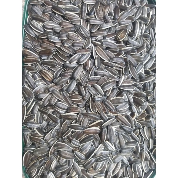 Hướng dương sống size lớn gói 1kg