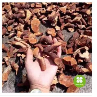 Cây Mú từn (1kg) - FRV118
