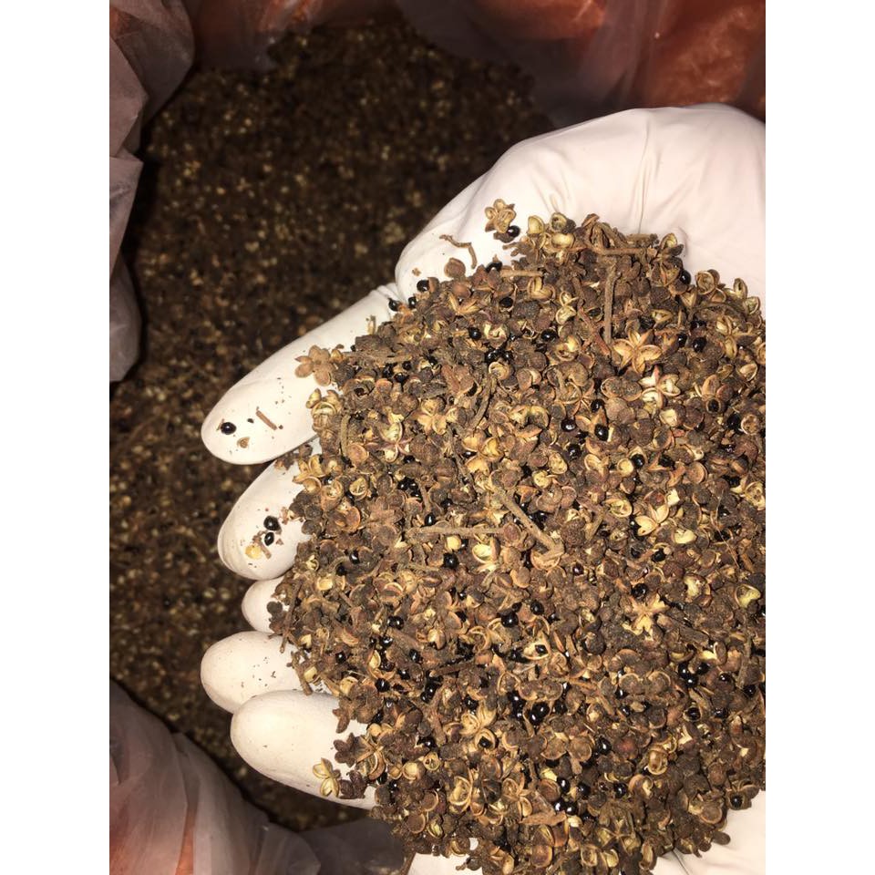 1kg Mắc khén rừng cực thơm