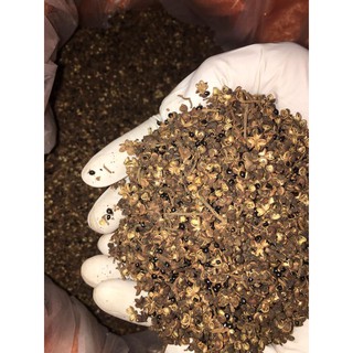 1kg Mắc khén rừng cực thơm