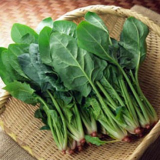 10 gram Hạt giống Rau Chân Vịt (Cải Bó Xôi)