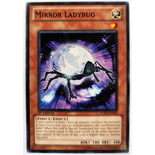 Mirror Ladybug |EN| Common