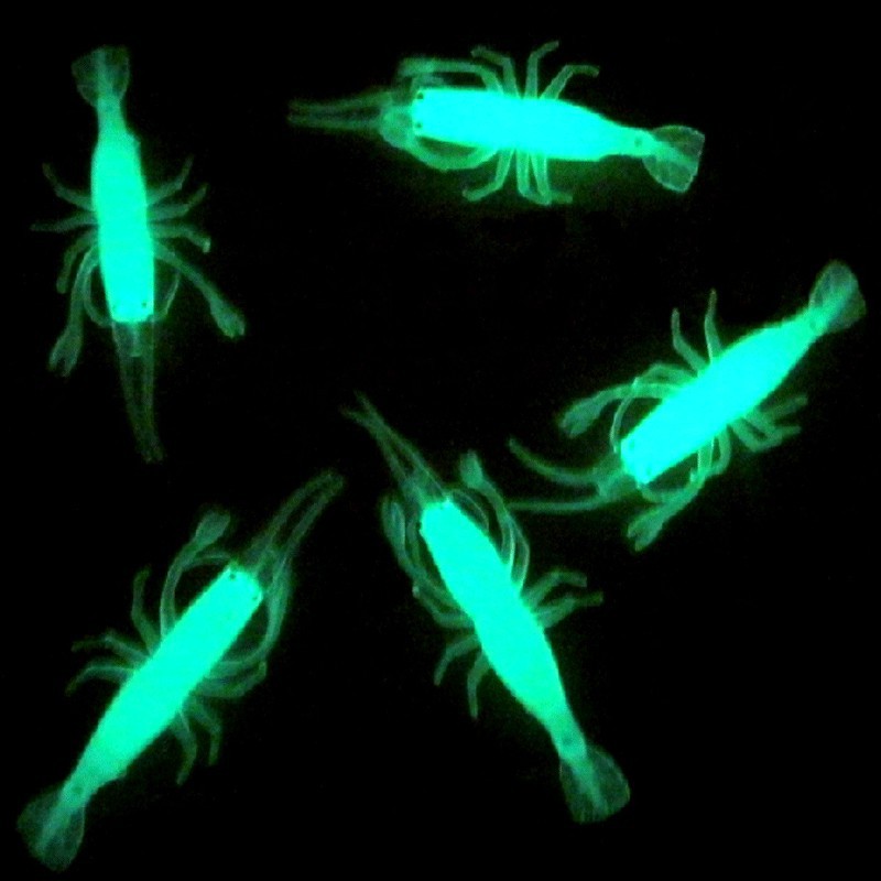 Set 2 mồi câu cá giả hình tôm dạ quang