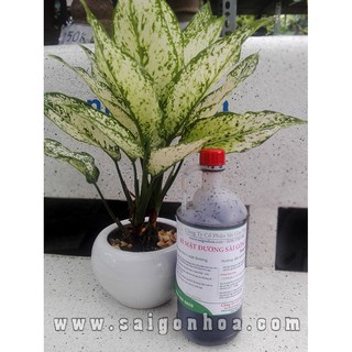Chế Phẩm Sinh Học EM1 Loại 1L