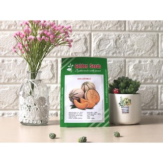 Hạt Giống Dưa lưới Melo 10 Hạt/ Gói