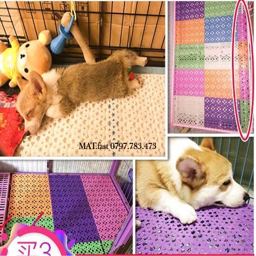 Tấm Nhựa Lót Chuồng Chó MÈo ( nhựa PVC 20x30cm ) có nhiều màu