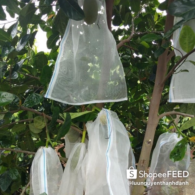 10 TÚI BAO MÍT 50x70 LƯỚI CƯỚC