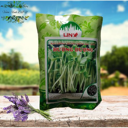 Combo 6 loại rau mầm
