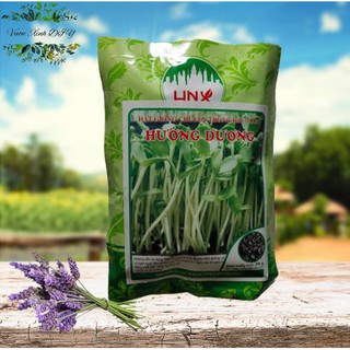 Combo 6 loại rau mầm
