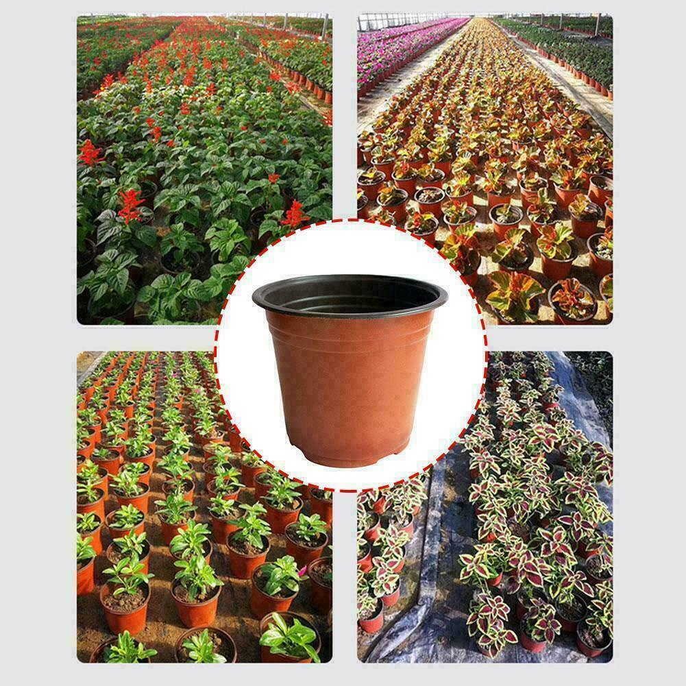 1 Chậu Nhựa Trồng Cây Q9O3