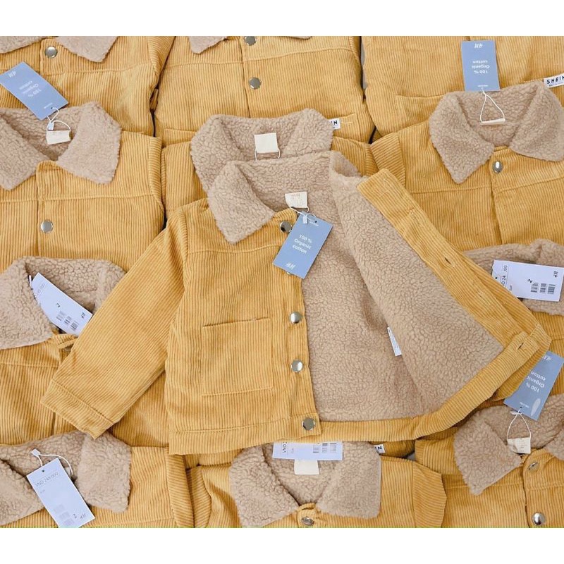 Áo nhung tăm vàng cổ lông lót lông cho bé