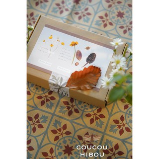 HỘP QUÀ TRANG TRÍ SẴN- C