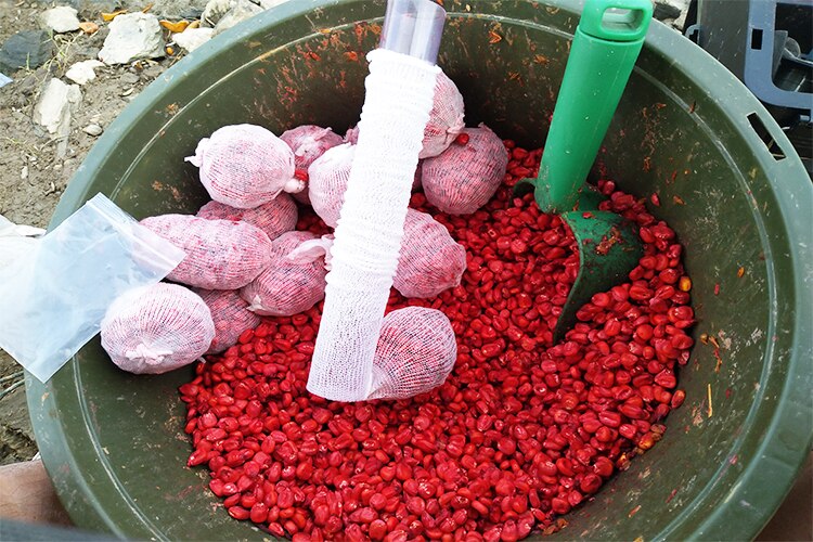 Ống Lưới Pva 18/25/37/44mm 5M Chuyên Dụng Cho Câu Cá