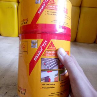 Chất kết dính gốc Epoxy 2 thành phần (Sikadur 731)