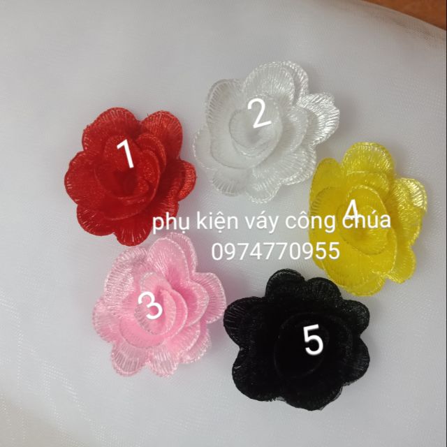 Hoa ren chỉ