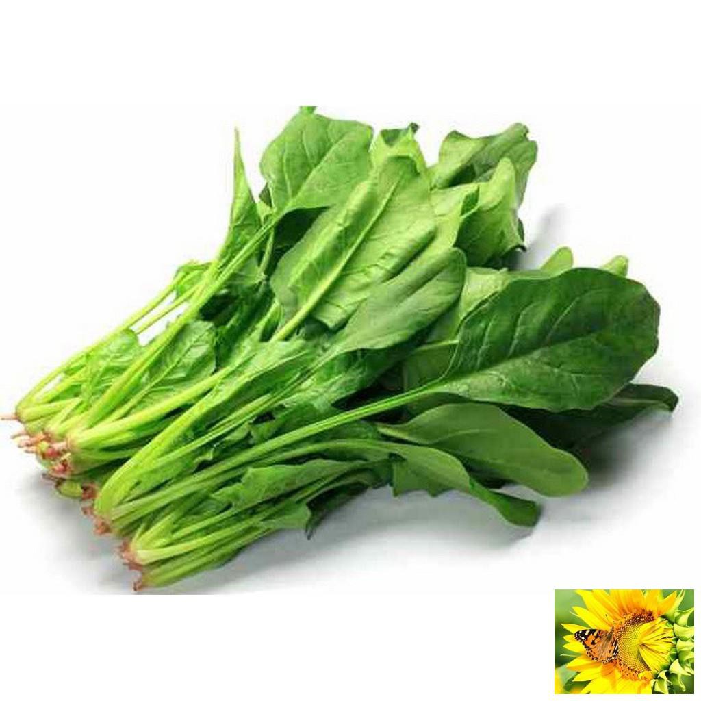 Hạt giống Cải Bó xôi 10g