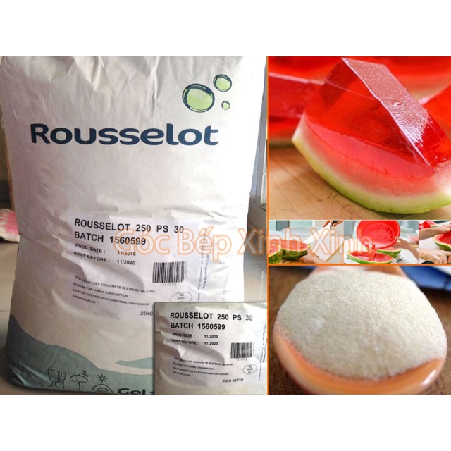 Bột Gelatin Rousselot (Pháp) bloom 250 - 100g | BigBuy360 - bigbuy360.vn