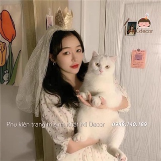 Bờm vương miện đuôi voan cho tiệc sinh nhật