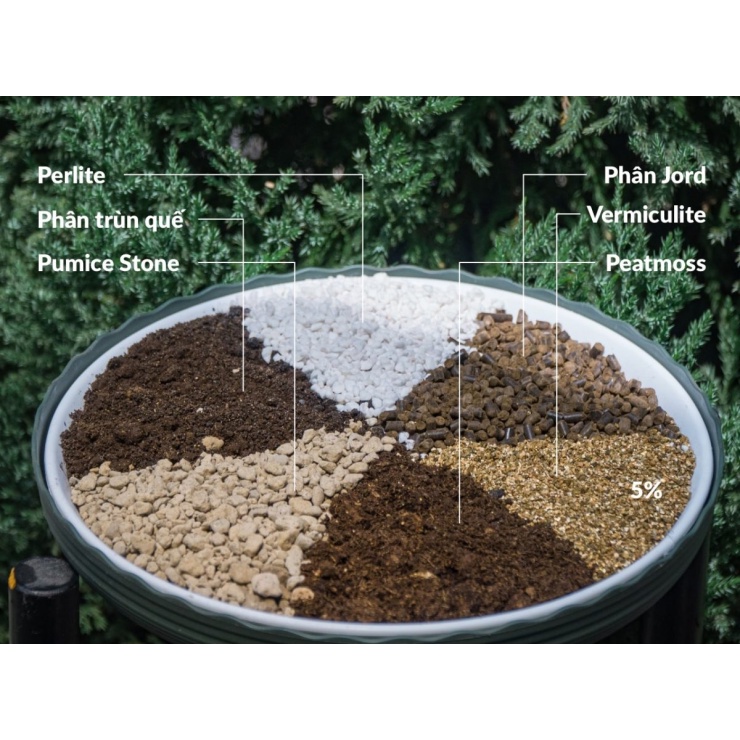 Đá vermiculite  trộn giá thể trồng cây, sen đá, xương rồng, trồng rau mầm, ươm hạt giống