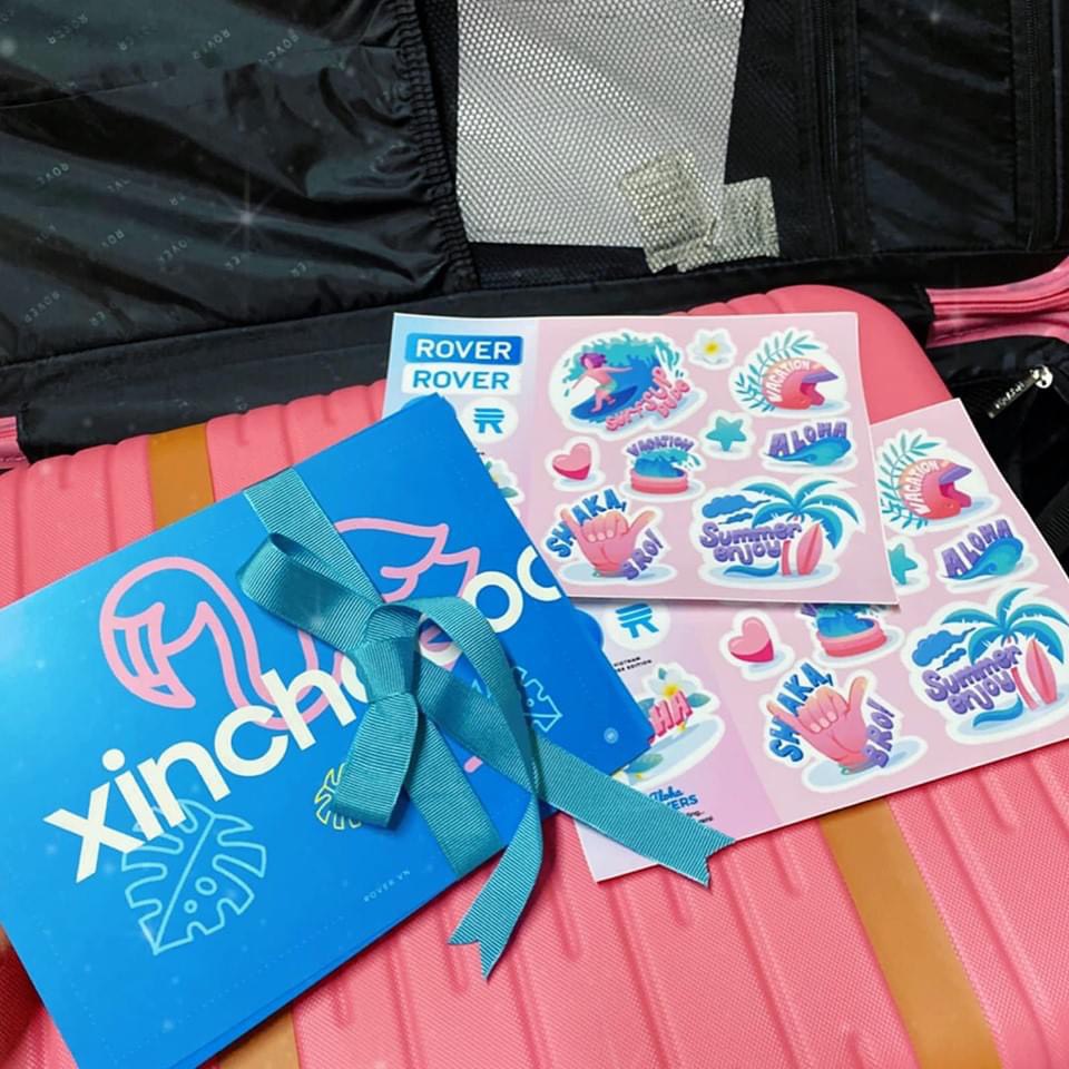 Sticker dán trang trí- Màu sắc năng động- Chống Nước - Rover