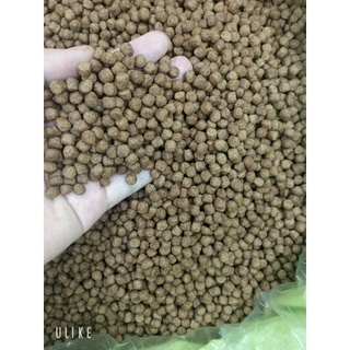 Cám cá koi  40 % đạm hạt 6-7 ly