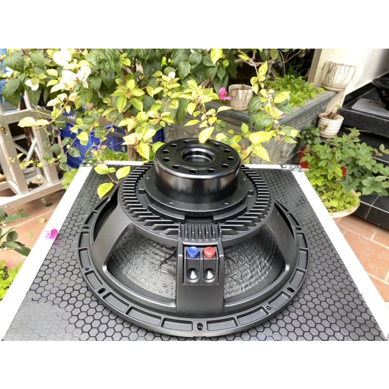 Bass 40 từ neo