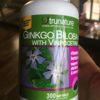Ginko Biloba 120mg