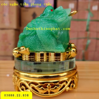 Cóc Ngậm Tiền Phong Thủy Màu Xanh