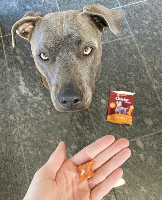 [𝐂𝐎𝐃𝐄𝟏𝟓% 𝐘𝐔𝐏𝐏𝐘𝐍𝐘] Rinti Treat training viên cheese và gà cho chó